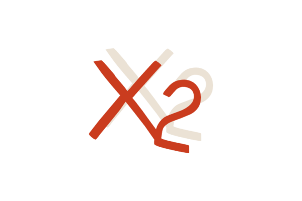 icona-x2