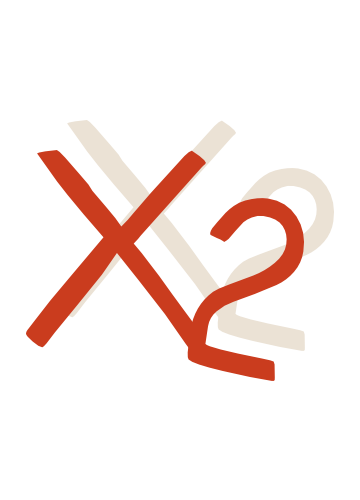 icona-x2